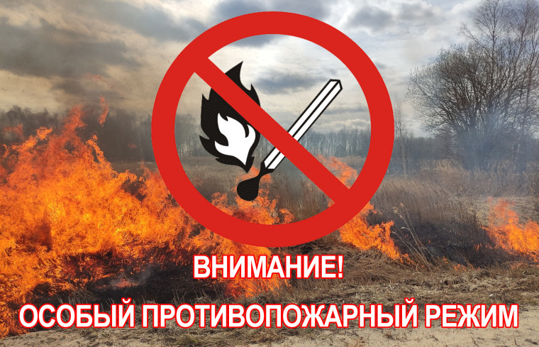 В Кировской oбласти введён особый противопожарный режим. В Кировской oбласти введён особый противопожарный режим.